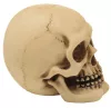 Figurină decorativa Mayer Chess MC-30683, rășină, înălțime 7 cm, lungime 8 cm