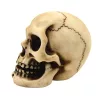 Figurină decorativa Mayer Chess MC-30683, rășină, înălțime 7 cm, lungime 8 cm