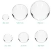 Glob de sticla cu sport Navaris pentru fotografii/ decor, 80 mm, 42864