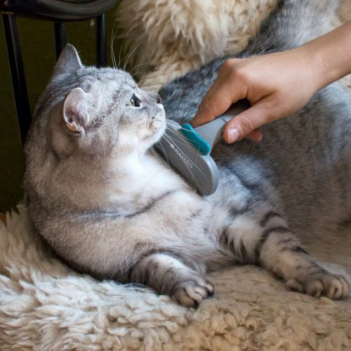 Perie Navaris pentru caini si pisici, Verde, Silicon, 44331