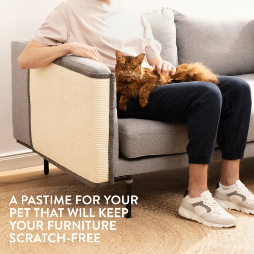 Protectie impotriva zgarieturilor pentru Pisici, 50x70 cm, Sisal, Gri, 47363.01