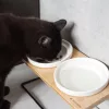Statie de hranire pentru pisici si caini Navaris cu 2 boluri si suport, 50533.01