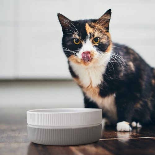 Set 2 Boluri pentru pisici si caini Navaris, Anti-aluneacare, Gri, 53411.22