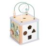 Cub activitati 5 in 1 Navaris din lemn, labirint + sortator + abac, 38x20x20 cm, multicolor, lemn