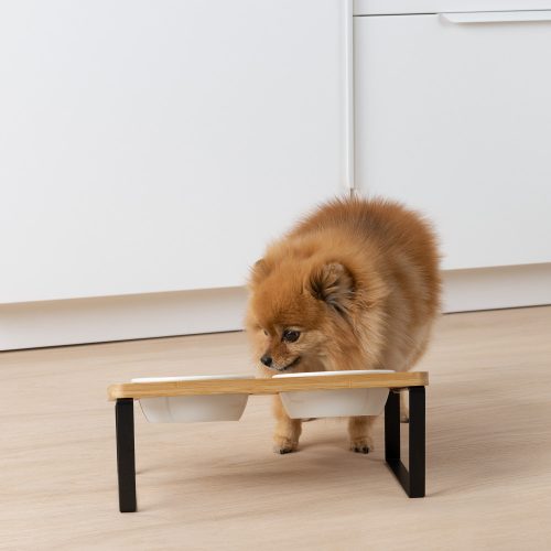 Set 2 Boluri pentru caini si pisici cu suport inclinat Navaris, 330 ml, 55228.2