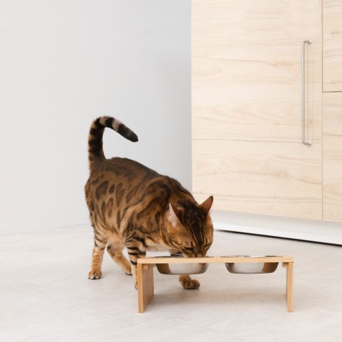 Set 2 boluri din inox pentru caini si pisici de talie mica, 350 ml, 58404.01