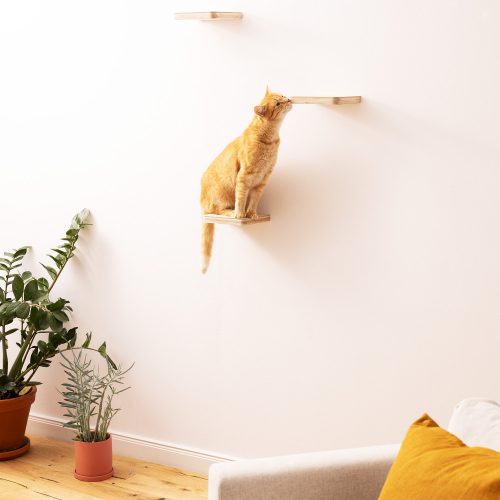 Mobilier de catarat pentru pisici Navaris, Crem, Lemn, 59243.01