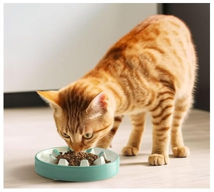 Bol mancare Navaris, ceramica, 20 cm, pentru caini si pisici, slow eating, NAV000025YC001C