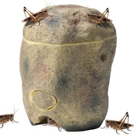   Castron Navaris, Cricket Feeding Rock, 10x9x12 cm, perfect pentru reptile, NAV000025YD001C