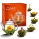 Set cadou Creano ErbluhTee Mix, 6 bile ceai alb cu flori si ceainic din sticla 500 ml