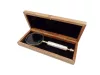 Lupă Giftdeco NC2684, alamă, sticlă, metal și lemn, lungime 20,5 cm, diametru 7,5 cm