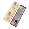 Set caligrafie Giftdeco 7262/A, pana de gasca argintie, cerneala